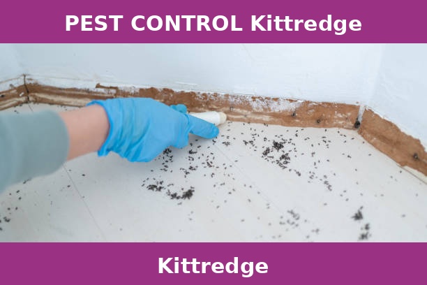 PEST CONTROL Kittredge